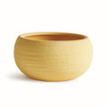 Anderson Decorative Bowl