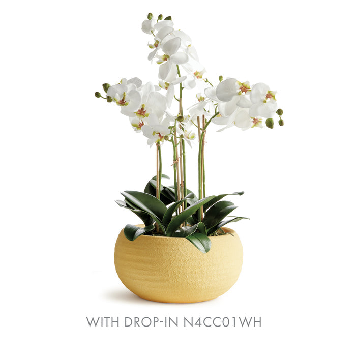 Anderson Decorative Bowl - View 4
