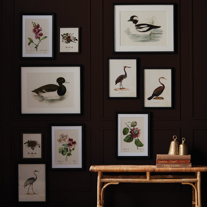 Assorted Bird Nest Study St/6 - View 3