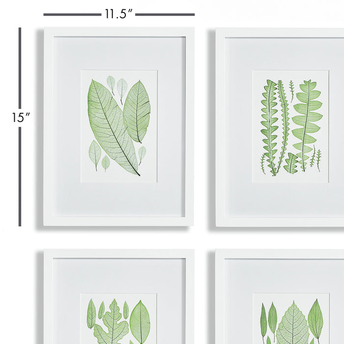 Assorted Leaf Prints, Set Of 4 - View 2