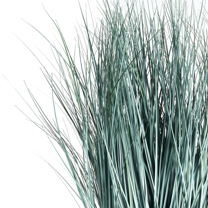Blue Oat Grass Drop-In 32" - View 3