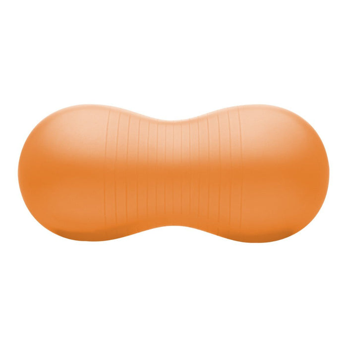 Bola Feijão para Exercício Hidrolight - FisioStore