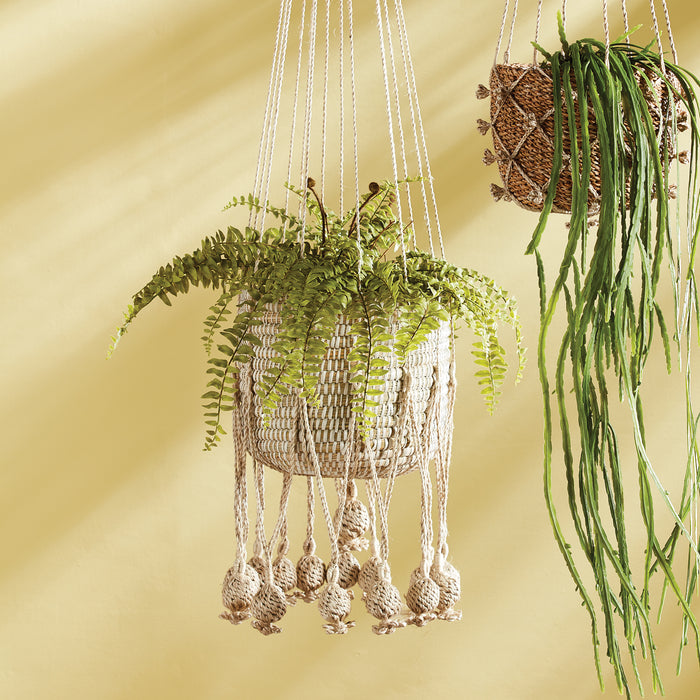 Boston Fern Drop-In 16" - View 2