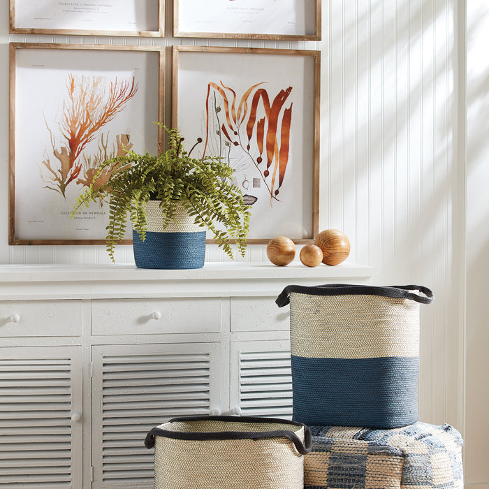 Boston Fern Drop-In 16" - View 4