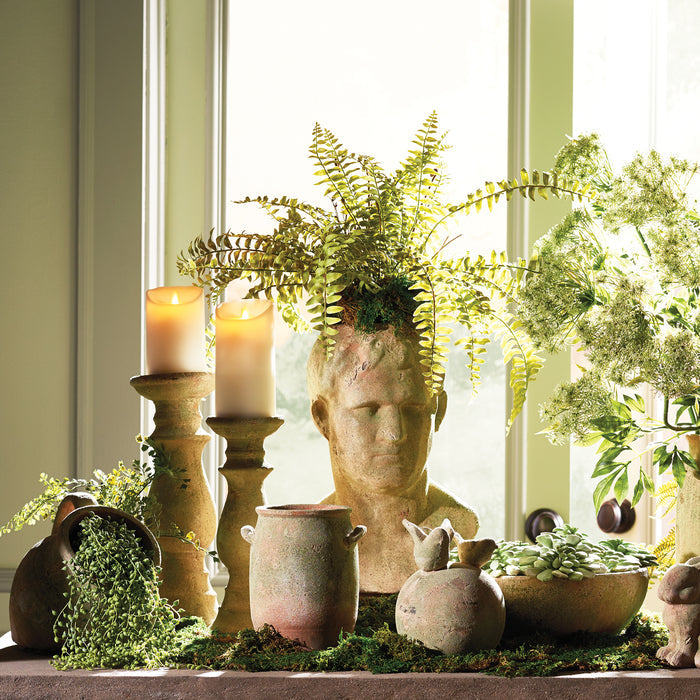 Boston Fern Drop-In 16" - View 6