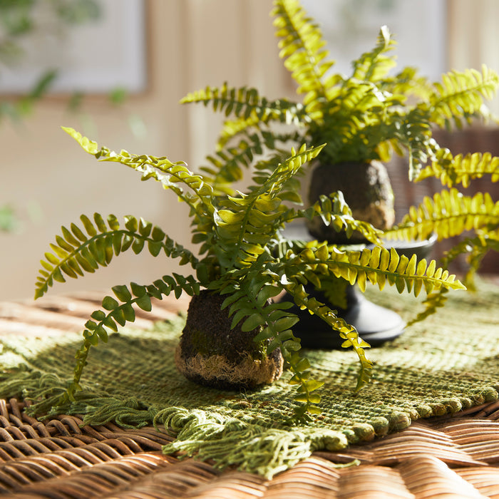 Boston Fern Drop-Ins, Set Of 3 - View 7