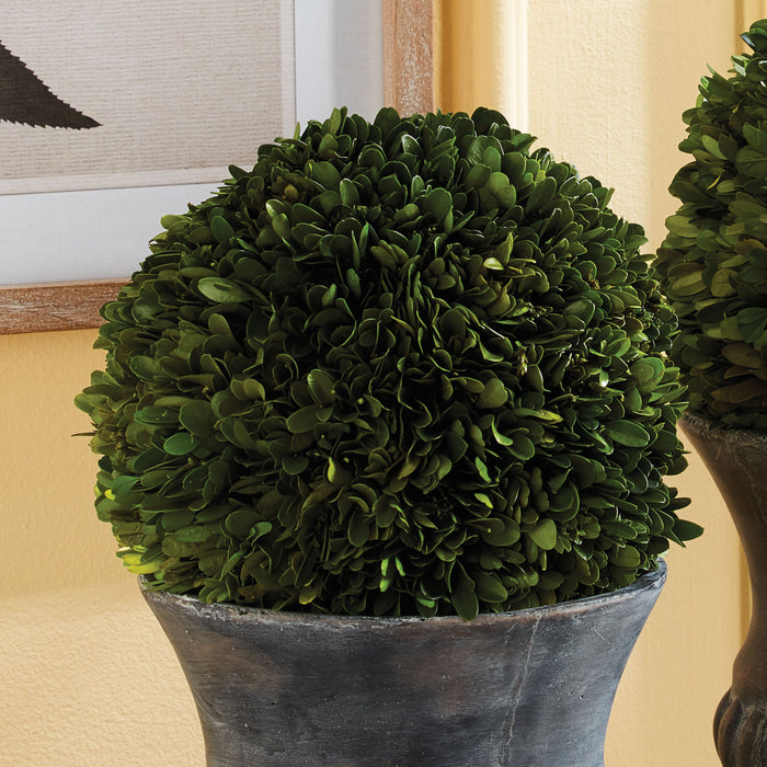 Boxwood Ball 8" - View 2