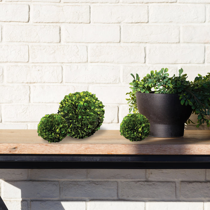 Boxwood Ball 8" - View 3