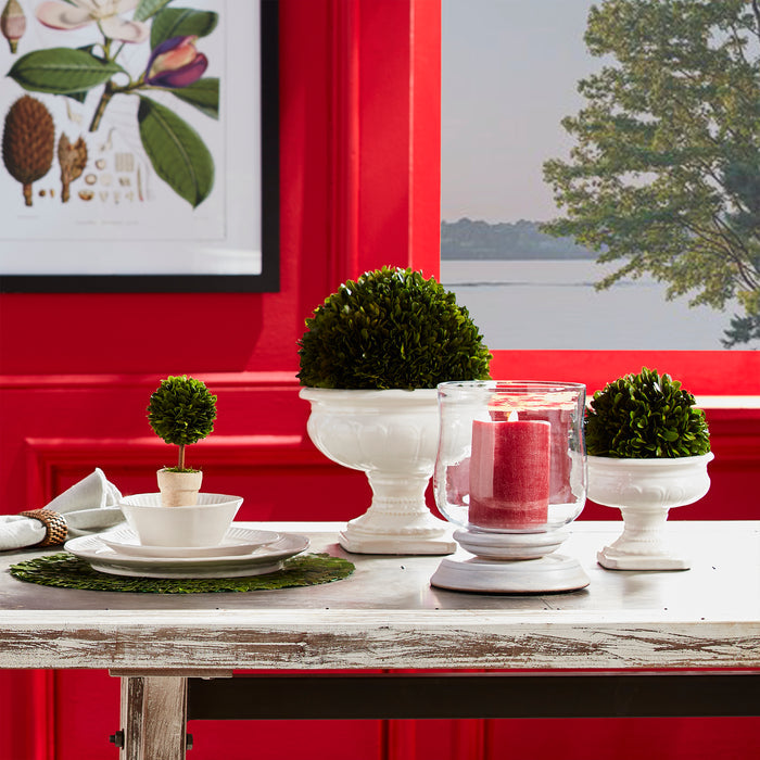 Boxwood Ball 8" - View 4