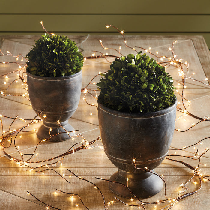 Boxwood Ball 8" - View 5