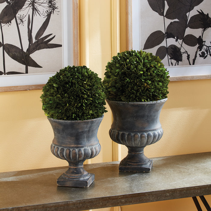 Boxwood Ball 8" - View 6