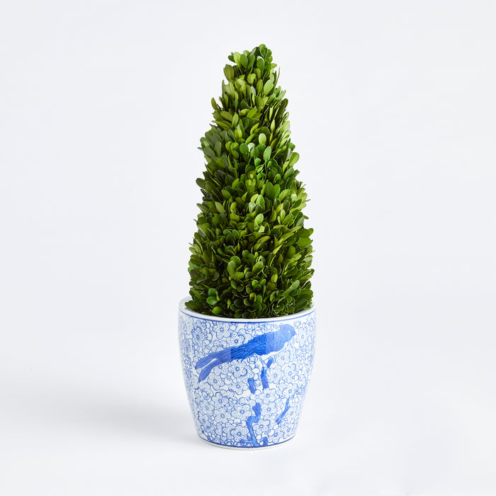 Boxwood Cone Topiary Drop-In 16" - View 4