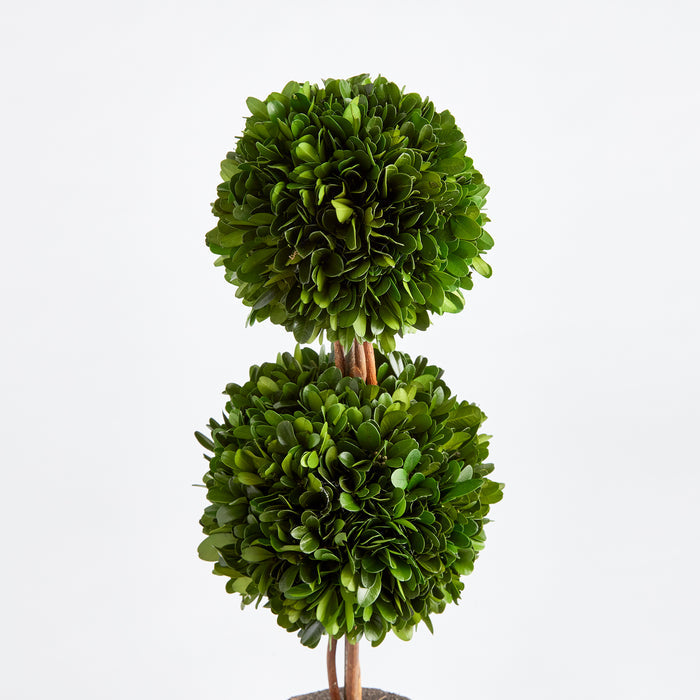 Boxwood Double Sphere Topiary Drop-In 20" - View 2