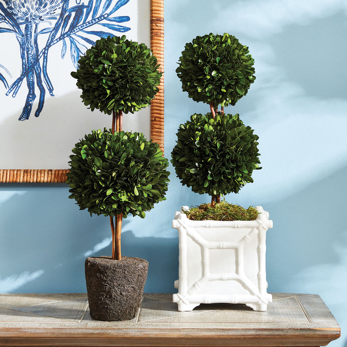 Boxwood Double Sphere Topiary Drop-In 20" - View 4
