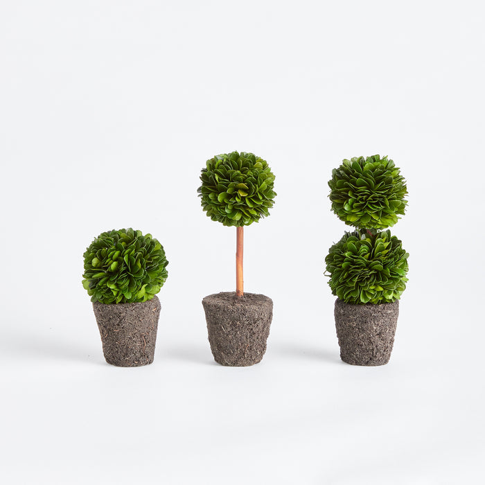 Boxwood Mini Topiary Drop-Ins, Set Of 3 - View 2
