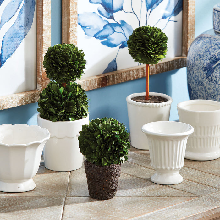 Boxwood Mini Topiary Drop-Ins, Set Of 3 - View 5