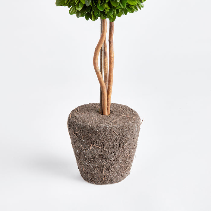 Boxwood Single Sphere Topiary Drop-In 16" - View 3