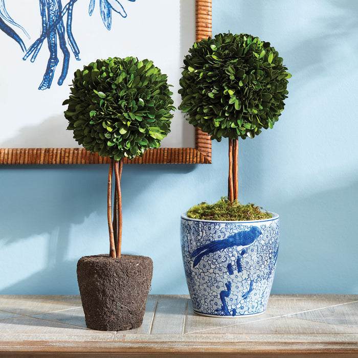 Boxwood Single Sphere Topiary Drop-In 16" - View 4