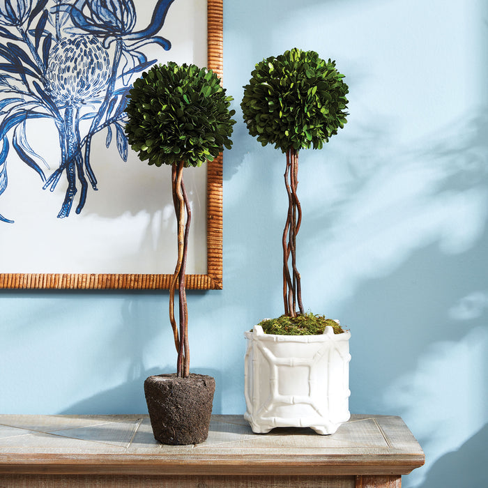 Boxwood Single Sphere Topiary Drop-In 24" - View 4
