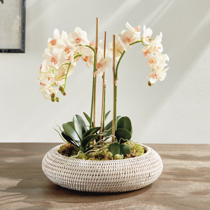 Burma Rattan Shallow Display Bowls, Set Of 2 - View 4