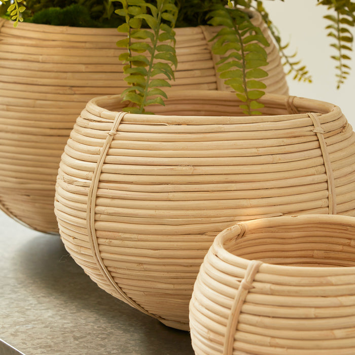 Cane Rattan Plant Baskets, Set Of 3 - View 4