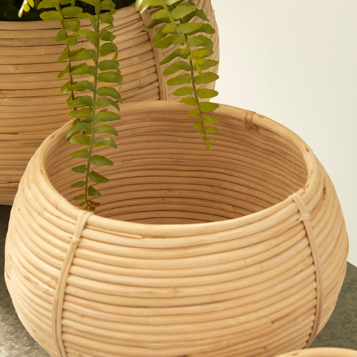 Cane Rattan Plant Baskets, Set Of 3 - View 5