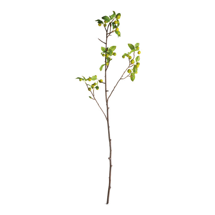 Crabapple Branches 45" St/2