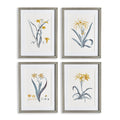 Daffodil Prints, Set Of 4