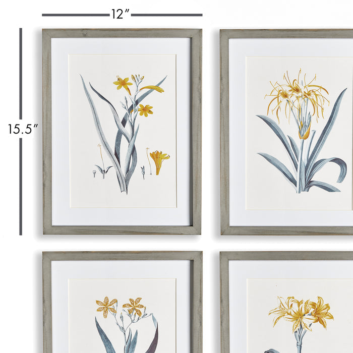 Daffodil Prints, Set Of 4 - View 2