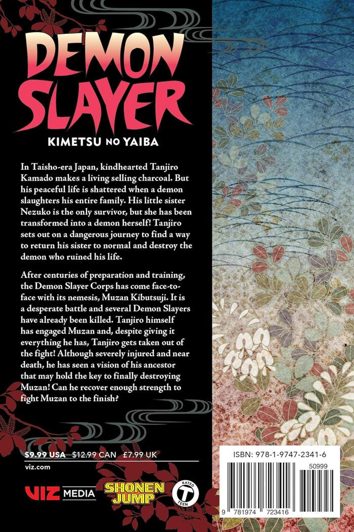 Demon Slayer Kimetsu No Yaiba Gn Vol. 22