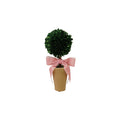 Dried Boxwood Tree in Terra-cotta Pot with Pink Velvet Bow by Creative Co-Op