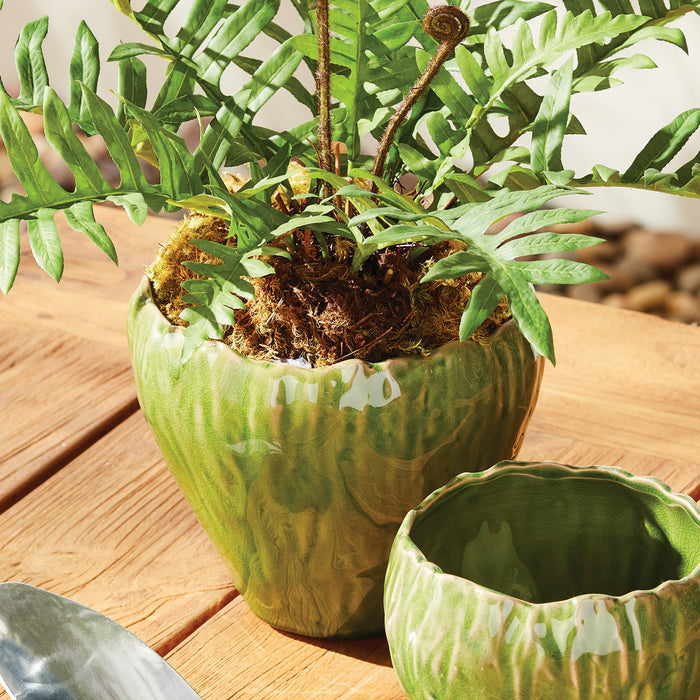 Evelyn Pot Large - View 4