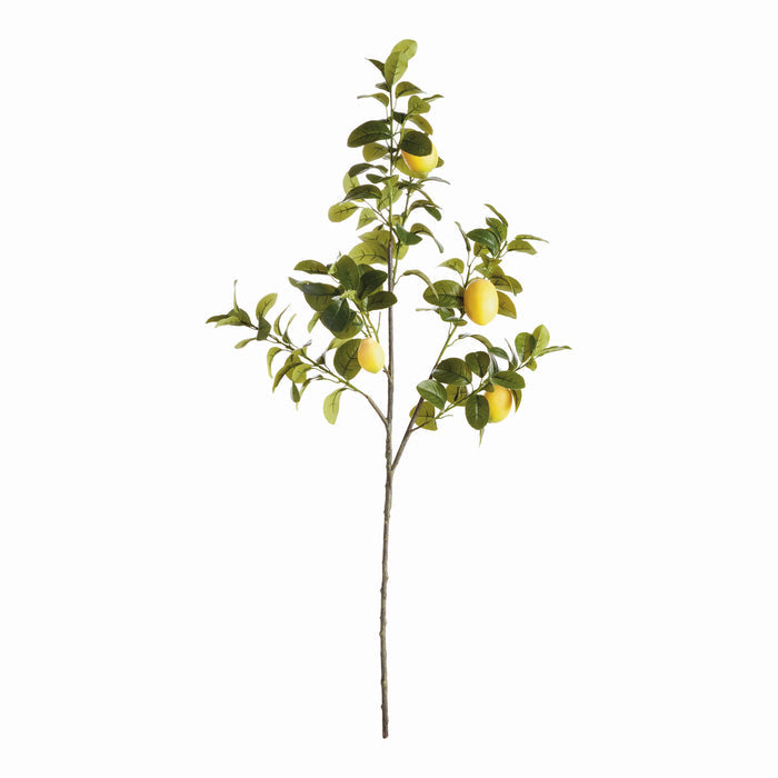 Faux Lemon Branches 43", Set Of 2