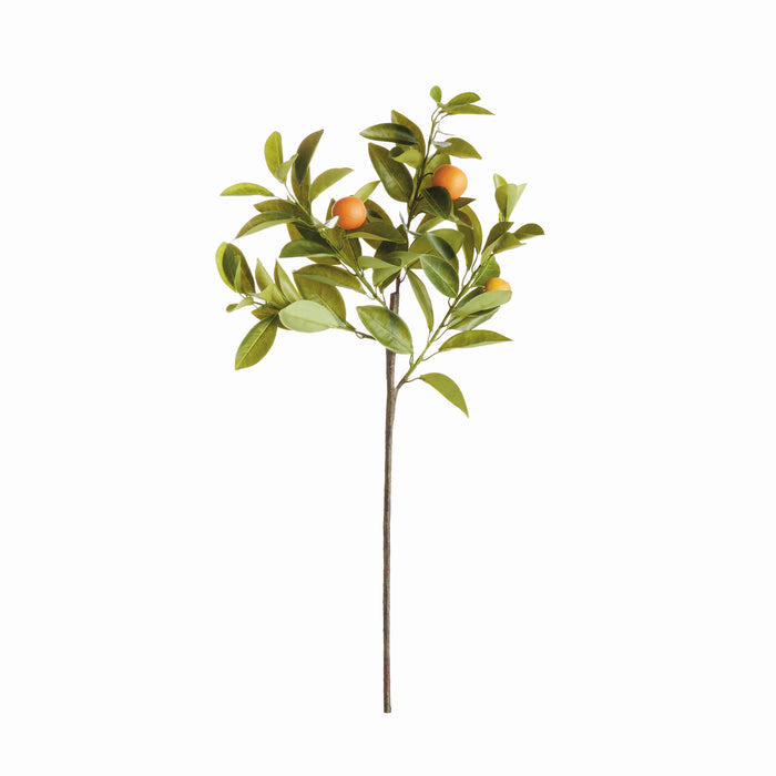 Faux Orange Stems 31", Set Of 4