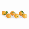 Faux Oranges 5" Assorted, Set Of 6