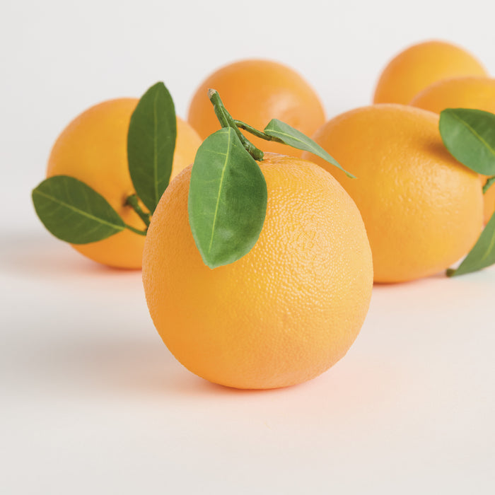 Faux Oranges 5" Assorted, Set Of 6 - View 4