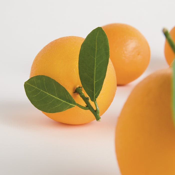 Faux Oranges 5" Assorted, Set Of 6 - View 6