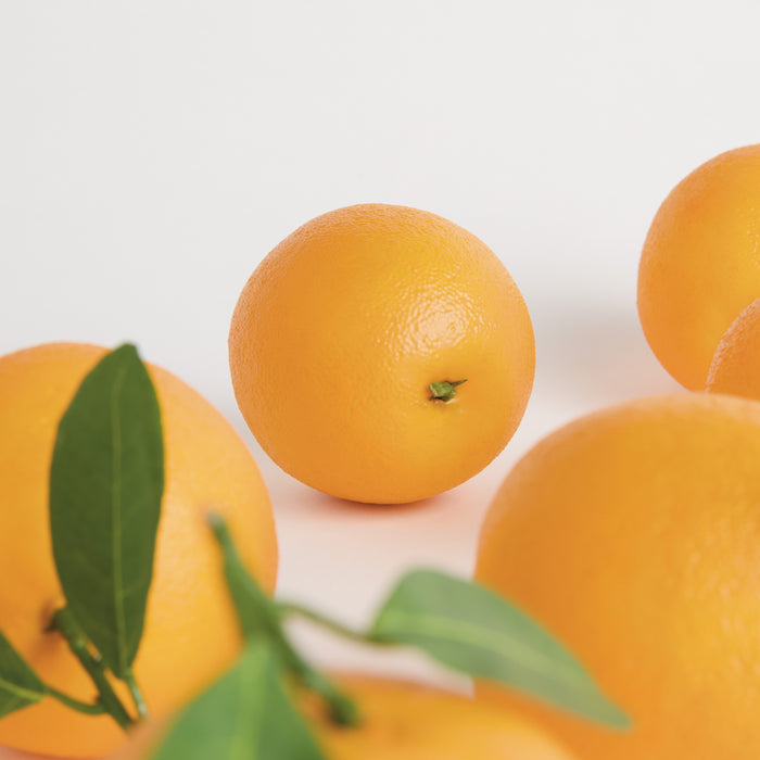 Faux Oranges 5" Assorted, Set Of 6 - View 8