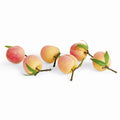 Faux Peaches 4", Set Of 6