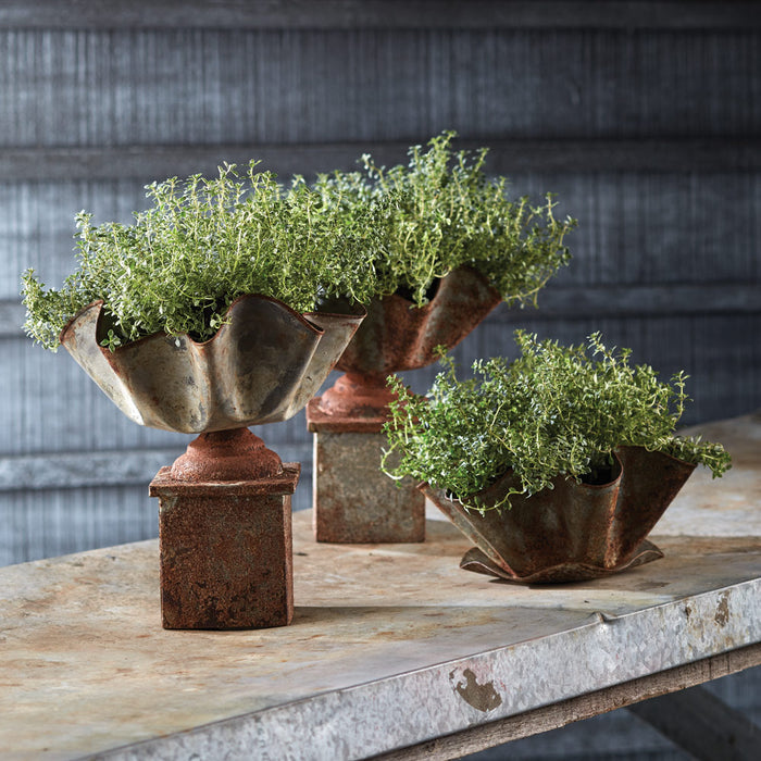Galvanized Handkerchief Pot With Saucer - View 3