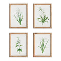 Garden Bloom Prints, Set Of 4