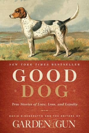 Good Dog by HarperCollins