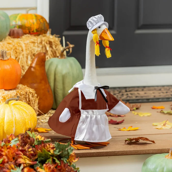 Harvest Pilgrim Female For Giddy The Porch Goose