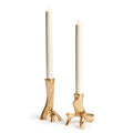 Hyde Taper Holders, Set Of 2
