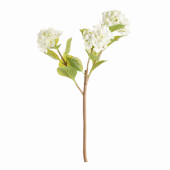 Hydrangea Branches 31", Set Of 2