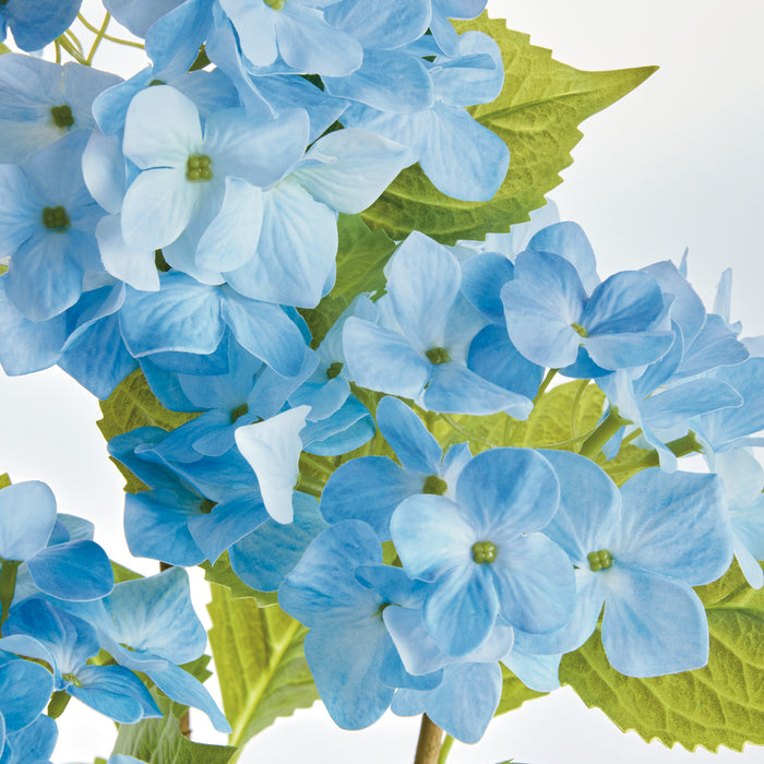 Hydrangea Drop-In 18" - View 2