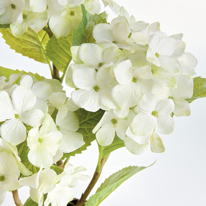 Hydrangea Drop-In 18" - View 2