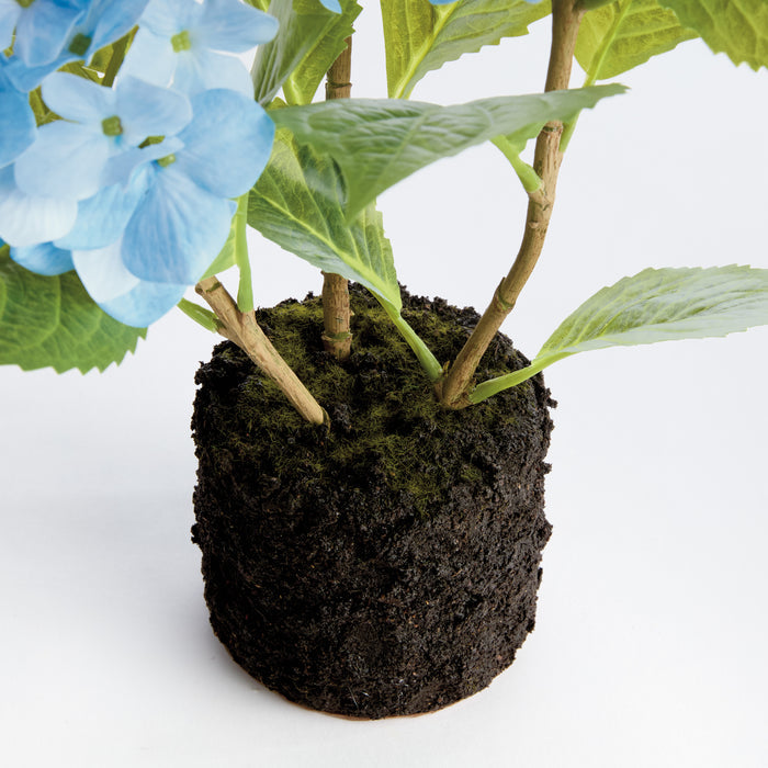 Hydrangea Drop-In 18" - View 3