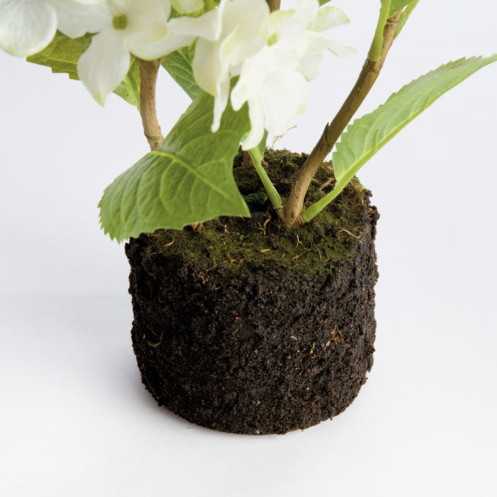 Hydrangea Drop-In 18" - View 3