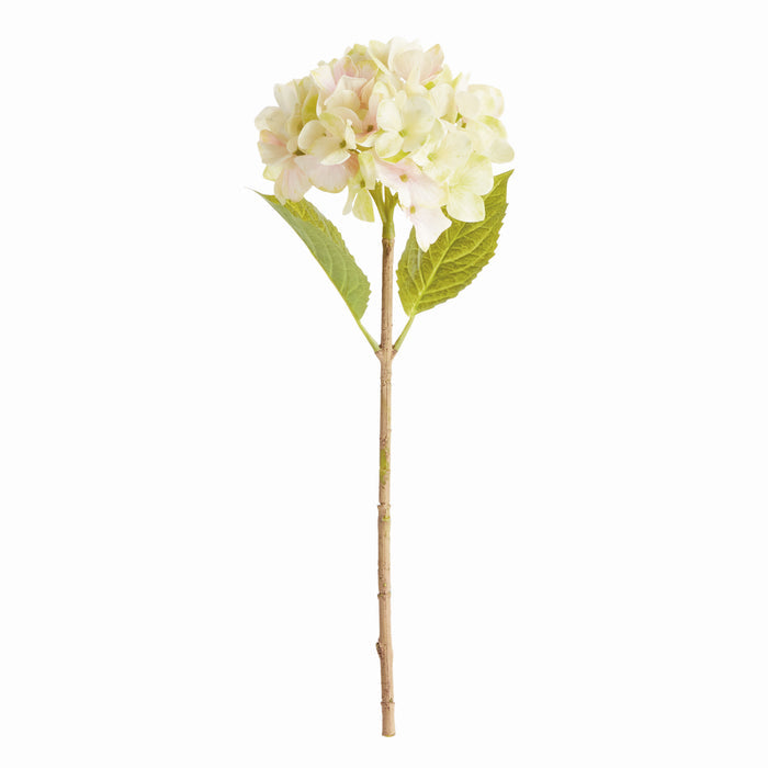Hydrangea Stems 18", Set Of 6